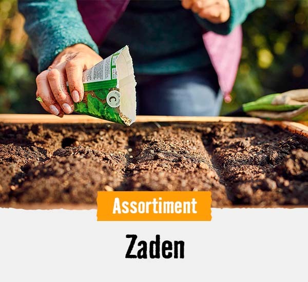 Zaden | HORNBACH