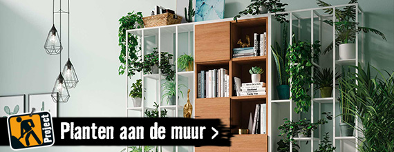 Planten aan de muur | HORNBACH