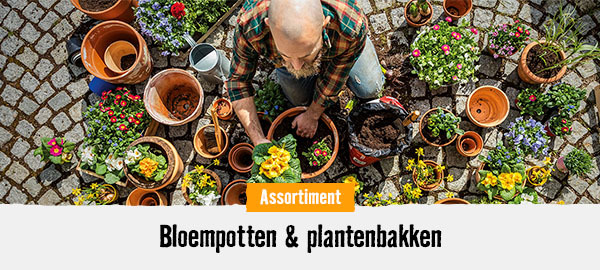 Bloempotten & plantenbakken| HORNBACH