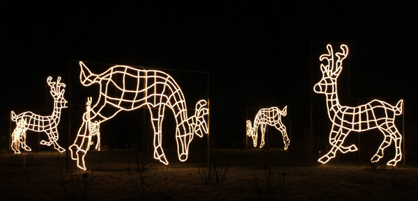 Christmas Garden Berlin