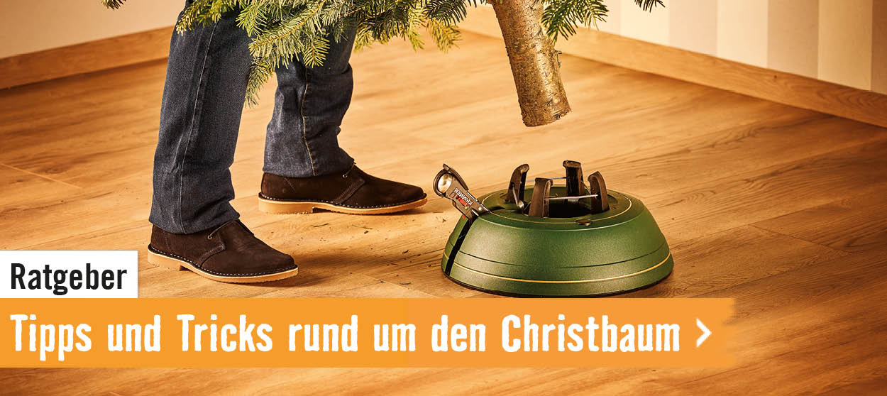 Ratgeber: Tipps und Tricks rund um den Christbaum