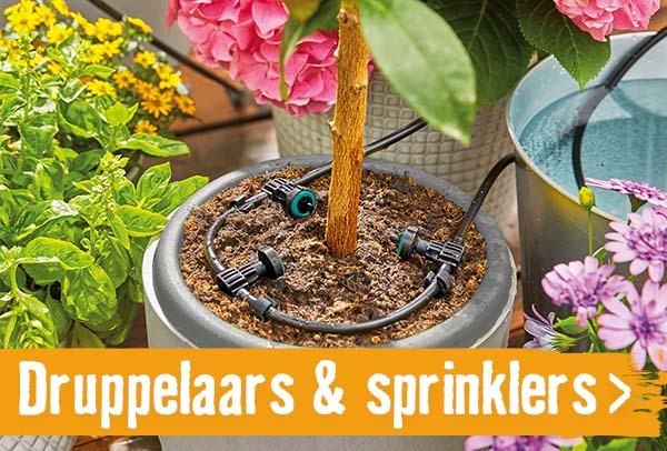 Druppel & sprinklersystemen | HORNBACH