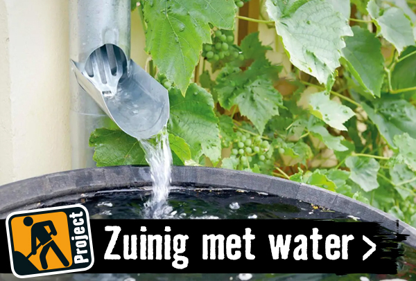 Zuinig omgaan met water in de tuin | HORNBACH