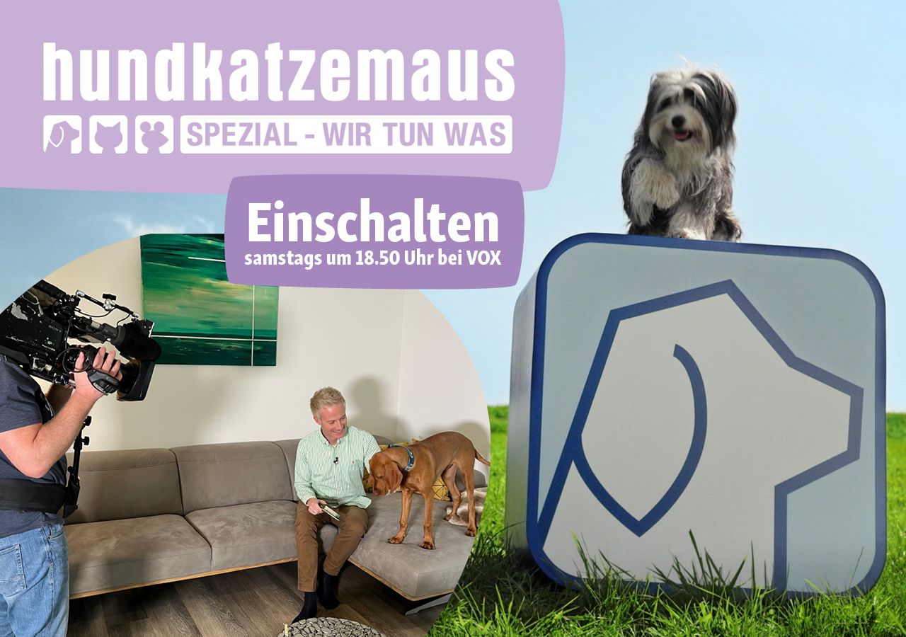 hundkatzemaus Spezial - wir tun was - Einschalten samstags um 18.50 Uhr bei VOX