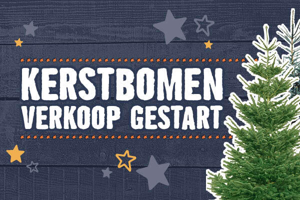 Kerstboom verkoop gestart | HORNBACH