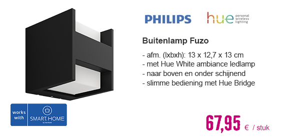 PHILIPS Hue White ambiance buitenlamp Fuzo zwart (naar boven en onder schijnend) | HORNBACH