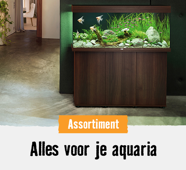 Aquaria | HORNBACH