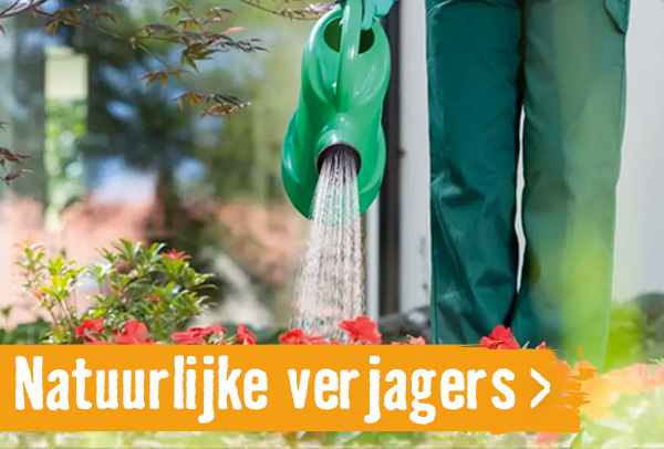 Natuurlijke verjagers | HORNBACH