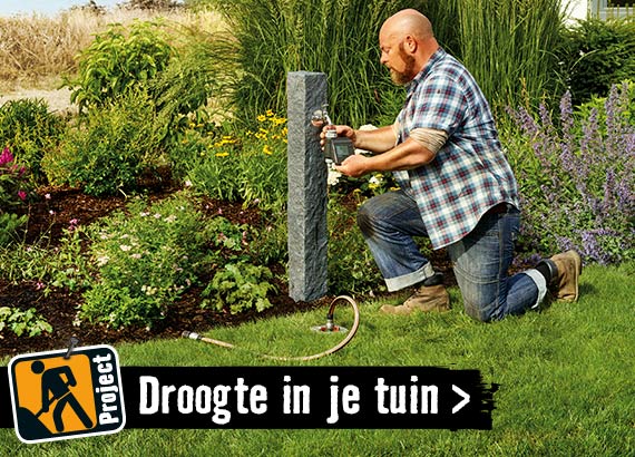 Droogte in je tuin | HORNBACH