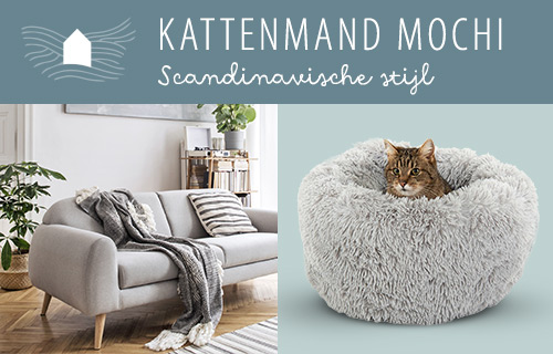 Kattenmand Mochi