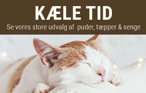 Hyggelige kattesenge