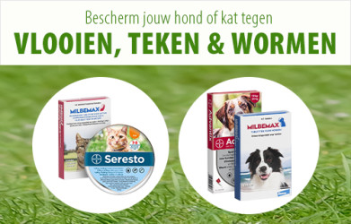 Alles tegen vlooien, teken & wormen!