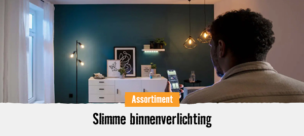 Slimme binnenverlichting | HORNBACH