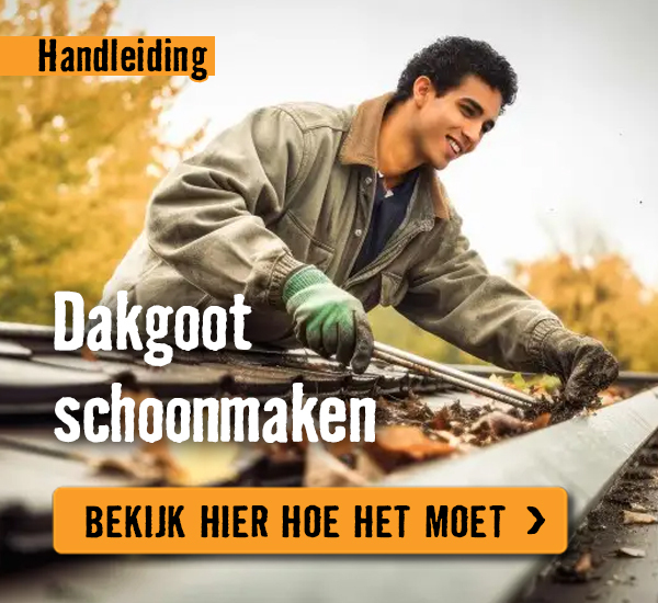 Dakgoot schoonmaken | HORNBACH
