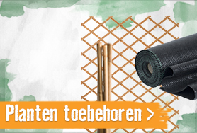 Planten toebehoren | HORNBACH