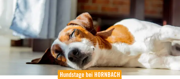 Hundstage bei HORNBACH