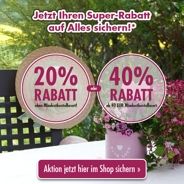 Jetzt Super-Rabatt sichern!