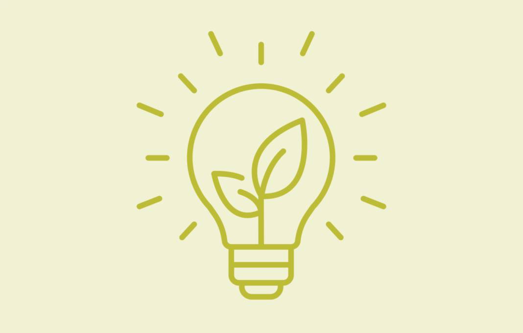 Foto: AdobeStock/Suncheli
