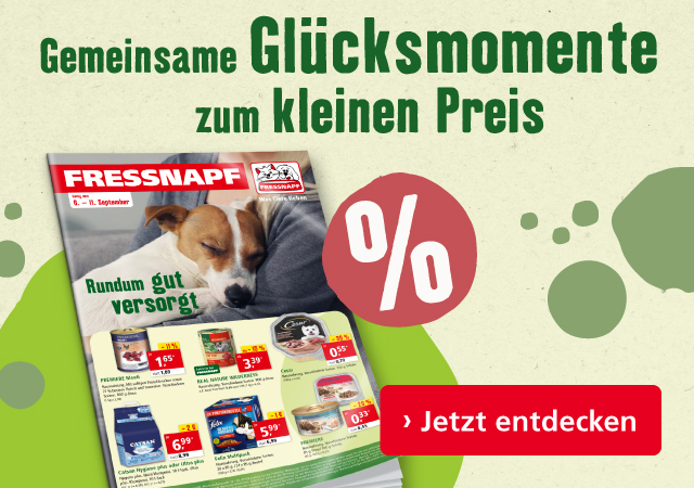 Unsere September-Angebote sind da 