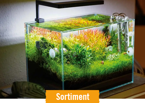 Aquarientechnik im HORNBACH Onlineshop