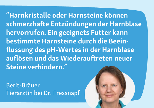 Berit Bräuer zu Blasenentzündung