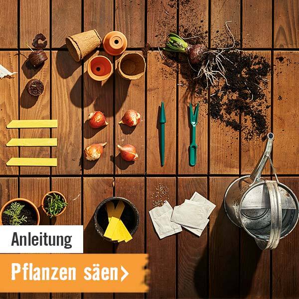 HORNBACH Anleitung Pflanzen säen