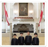 A Tribute to Vienna