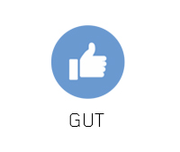 Gut