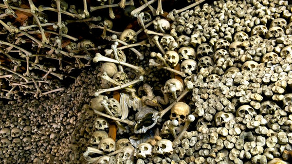  In der Schädelkapelle im polnischen Czermna befinden sich ungefähr 3.000 Knochen, plus 20.000 im Keller der Kirche. Es sind die Gebeine von Menschen, die unter anderem während des Dreißigjährigen Krieges umgekommen sind. © Natalia Dobryszycka/Getty Images 