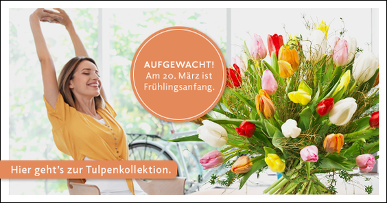 Zur Kollektion
