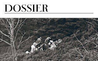 DOSSIER