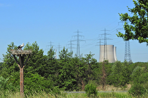 Neue Stromnetzplne verffentlicht Energiewende-Szenarien mit Strken und Schwchen