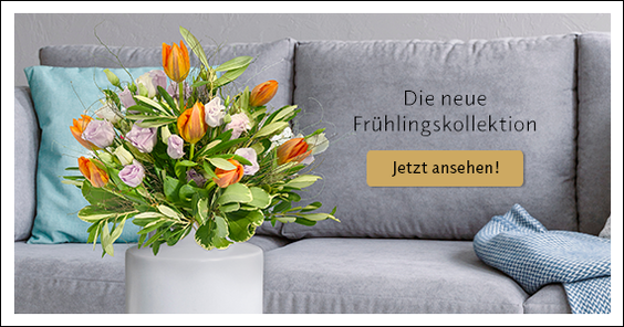 Zur Kollektion