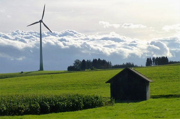 Windkraftanlagen in Wangerland drfen vorlufig nicht gebaut werden Verwaltungsgericht Oldenburg gibt dem NABU Recht
