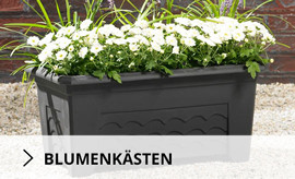 fruehlingsstart