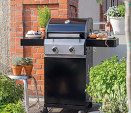 Dehner Markenqualität Gasgrill Lancaster 200