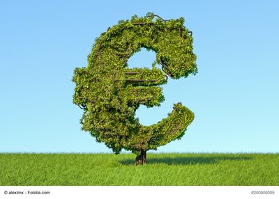 Ökologische Investments auf dem Vormarsch