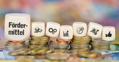ERP: Attraktive Gründerkredite und Fördermittel für Ihr Business