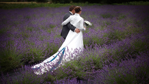 Sähe auch auf Instagram gut aus: das Bild eines Hochzeitspaars in einem Feld blühenden Lavendels. © Getty Images