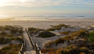 Faro