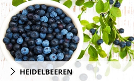 Tomaten und Gurkenpflanzen