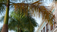Fort Myers
