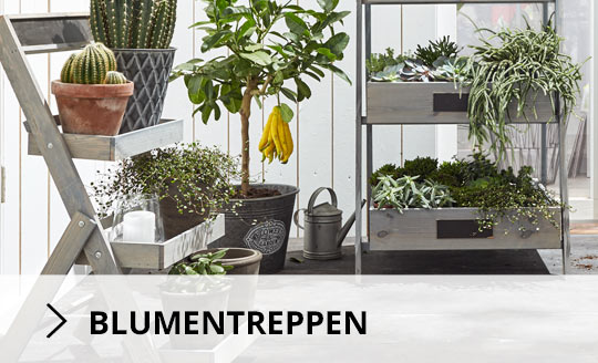 Blumentreppen