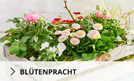 Bluetenpracht