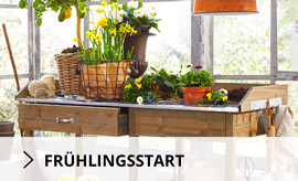 fruehlingsstart