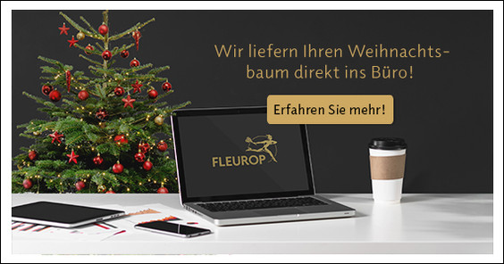 Zur Kollektion
