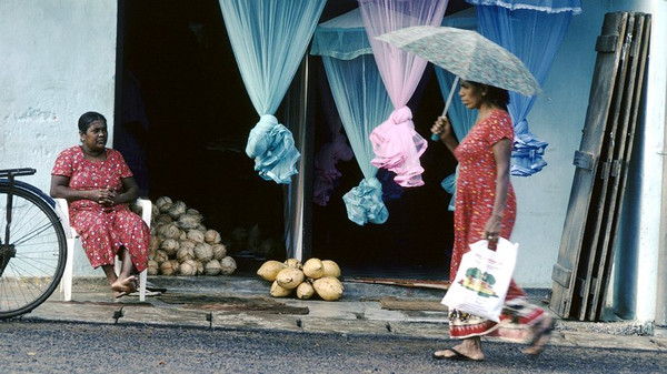 Eine Frau verkauft Kokosnüsse in Tissamaharama in Sri Lanka, eine King Coconut kostet umgerechnet 50 Cent. Wenn es gut läuft, bekommt sie so vier bis acht Euro am Tag zusammen. © Francois Le Diascorn/Gamma-Rapho/Getty Images
