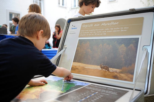 Der Wolf macht Schule Der NABU-Wettbewerb zum Wolf