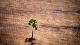  Die natürlichen Ressourcen der Erde werden schneller verbraucht, als sie sich regenerieren können. © Raphael Alves/AFP/Getty Images