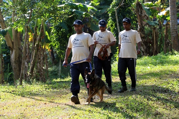 Patenschaft für die Hundestaffel im indischen Kaziranga Nationalpark